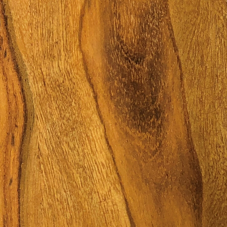 Wood Rich Honey
